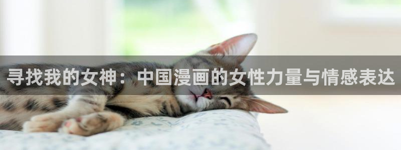 漫蛙2最新版
