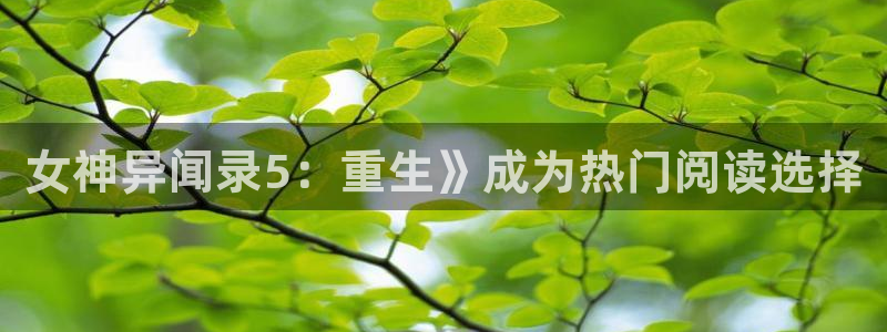 漫蛙破解版下载