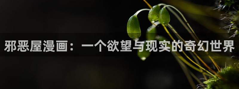 漫蛙网址.