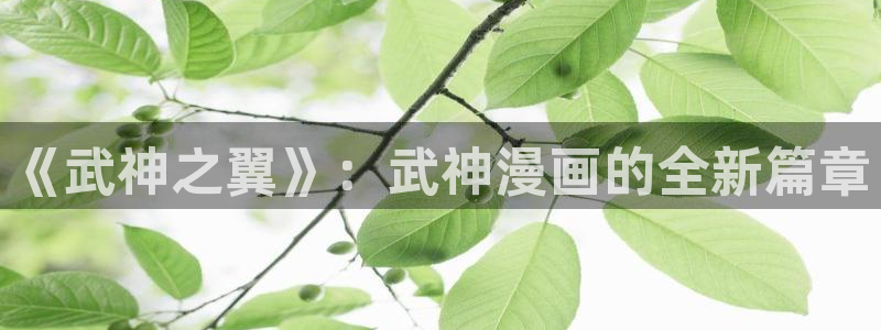 漫蛙的隐藏漫画