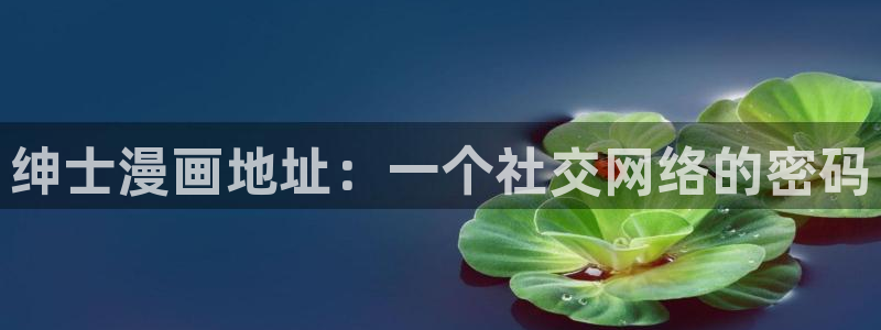 漫蛙manwa漫画网站