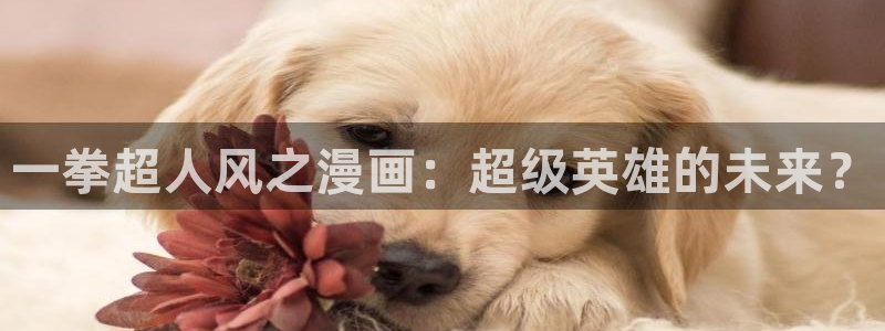 漫蛙怎么登录邮箱