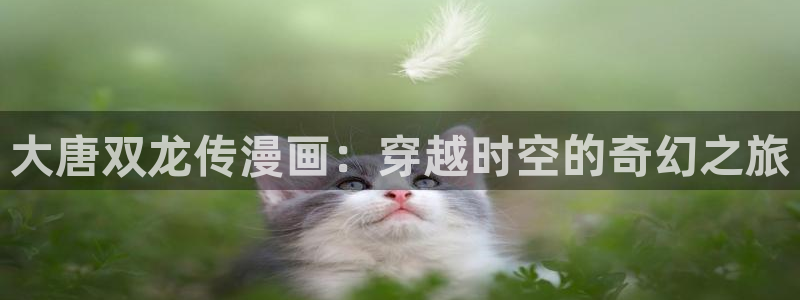 免费漫蛙漫画app入口