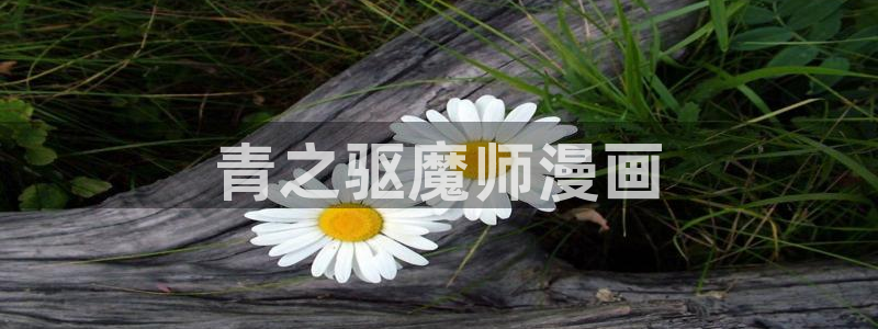漫蛙2下载官网腾牛