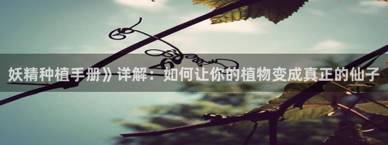漫画漫蛙免费入口：妖精种植手册》详解：如何让你的植物变成真正的仙子