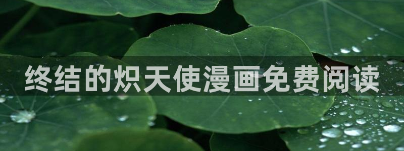 漫蛙漫画入口网页入口：终结的炽天使漫画免费阅读