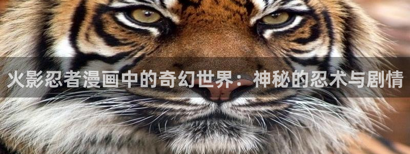 漫蛙逗游网：火影忍者漫画中的奇幻世界：神秘的忍术与剧情