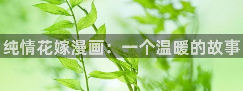 漫画漫蛙漫画网站：纯情花嫁漫画：一个温暖的故事