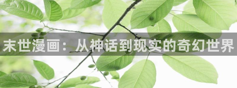 漫蛙漫画(网页入口)_