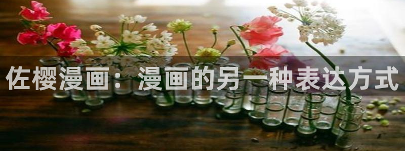 漫蛙manwa官网版2025