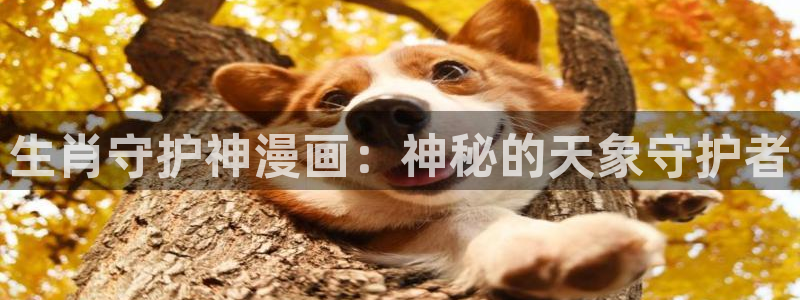 漫蛙漫画(网页入口)_漫蛙manwa2官网_