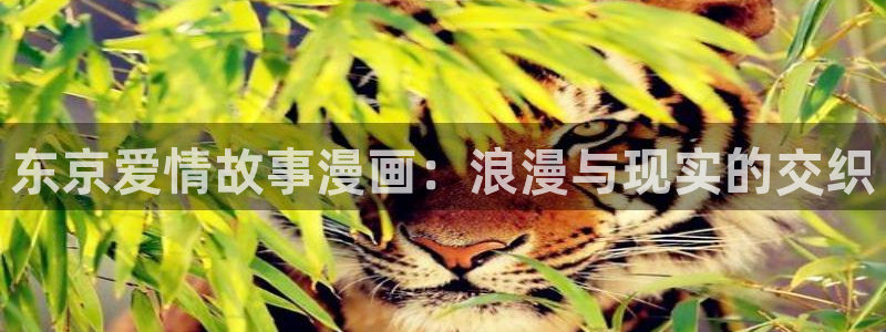 漫蛙漫画观看
