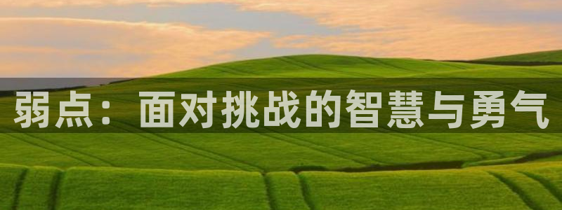 mw777漫蛙漫画下载
