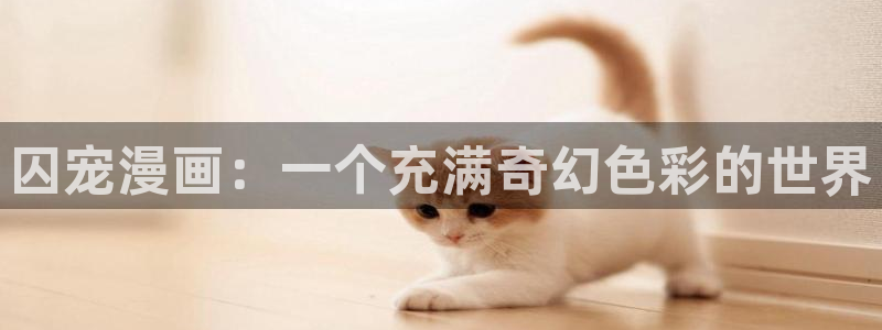 漫蛙官网网址入口