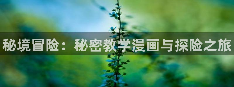 漫蛙manwa2正版免费下载