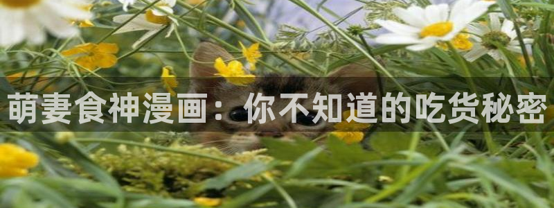 漫蛙腐宅漫画