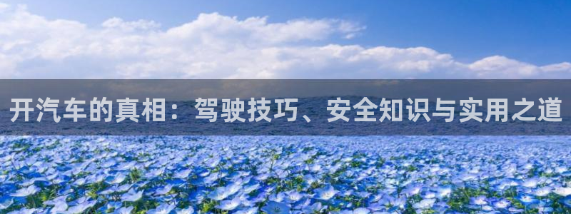 漫蛙manwa官网入口