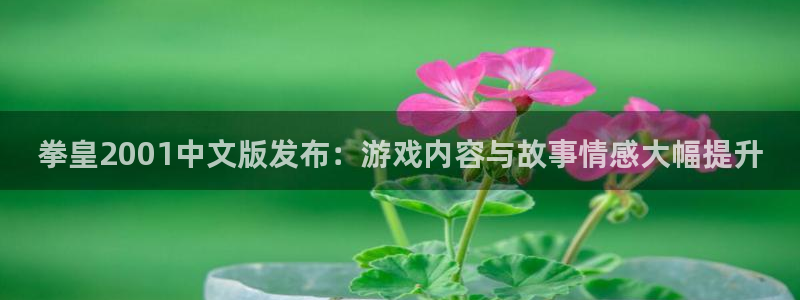 斗罗奇遇漫蛙