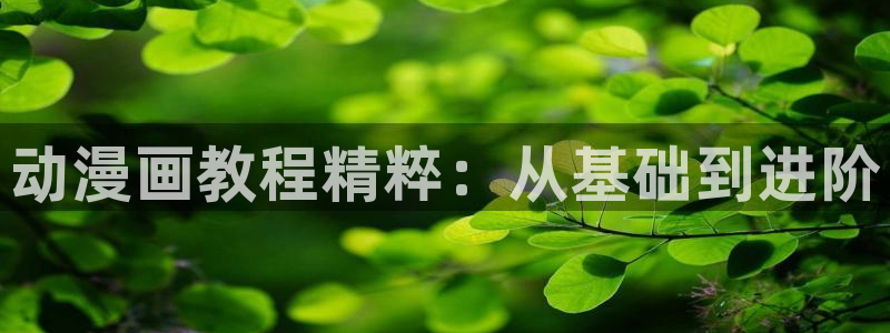 漫蛙,