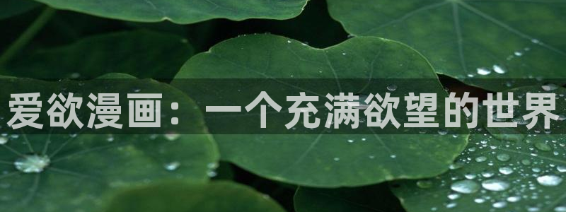 漫蛙2破解版无广告