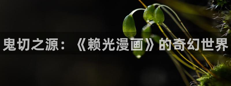 漫蛙苹果版