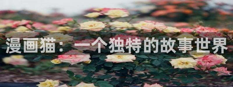 书呆子计划漫蛙