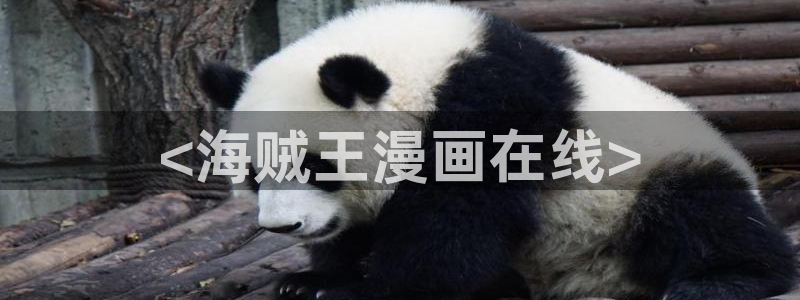 软件漫蛙：<海贼王漫画在线>