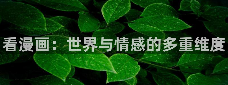 漫蛙漫画免费阅读在线观看网页版：看漫画：世界与情感的多重维度